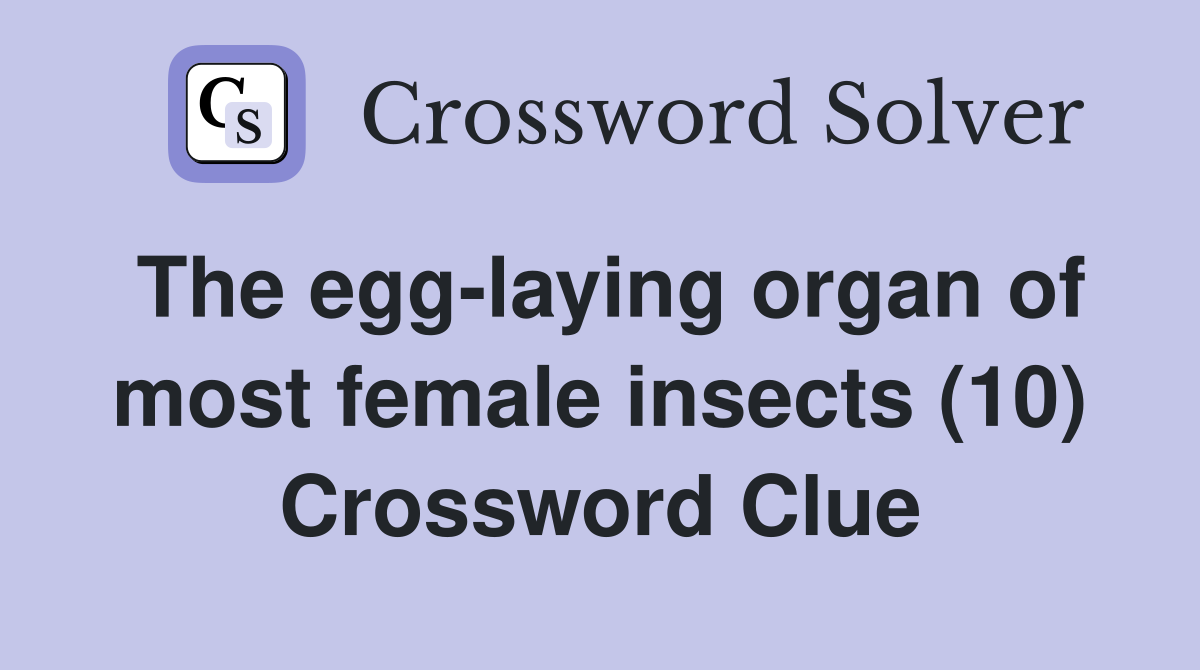 The egg-laying organ of most female insects (10) Crossword Clue
