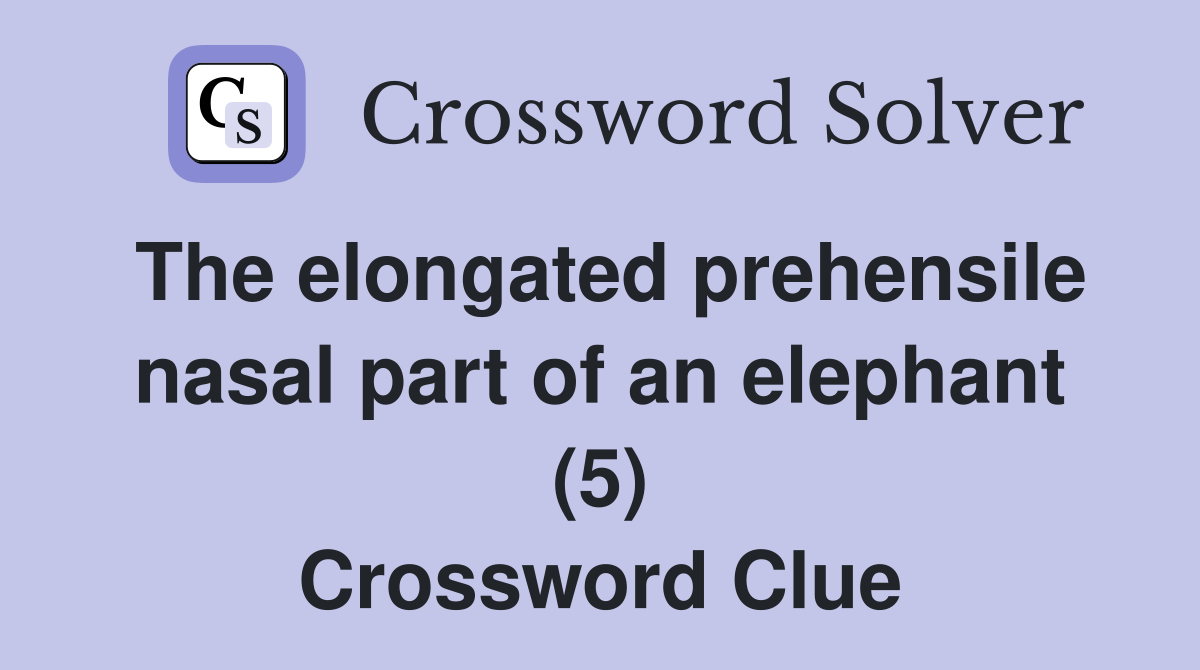 The elongated prehensile nasal part of an elephant (5) Crossword Clue