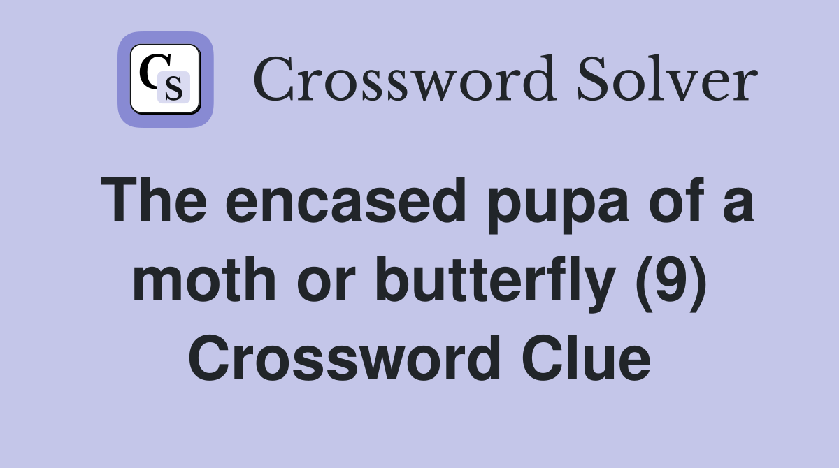 The encased pupa of a moth or butterfly (9) Crossword Clue