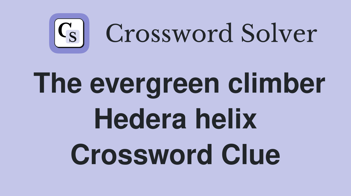 The evergreen climber Hedera helix Crossword Clue