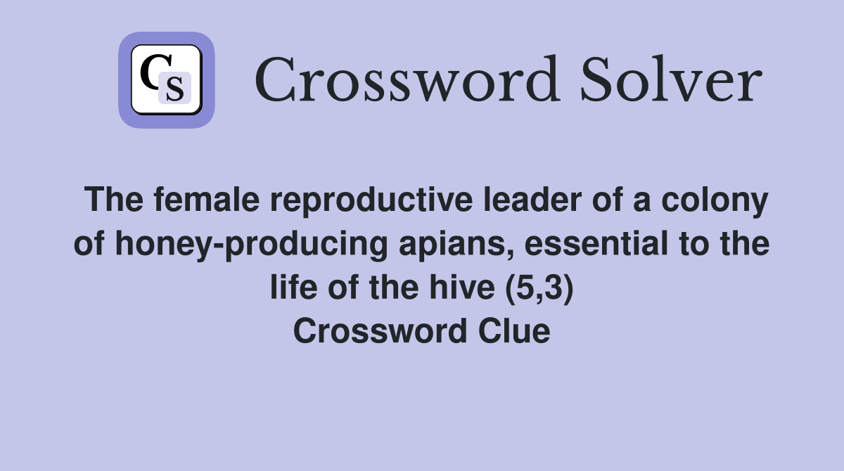 The female reproductive leader of a colony of honey-producing apians, essential to the life of the hive (5,3) Crossword Clue