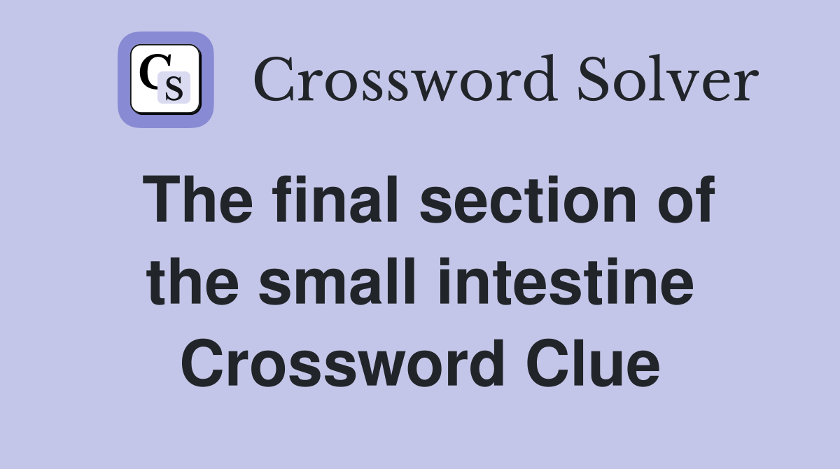 The final section of the small intestine Crossword Clue