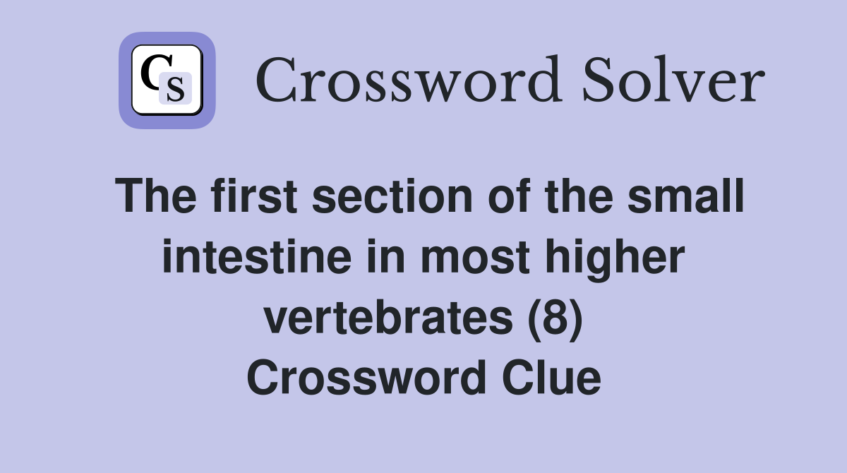 The first section of the small intestine in most higher vertebrates (8) Crossword Clue