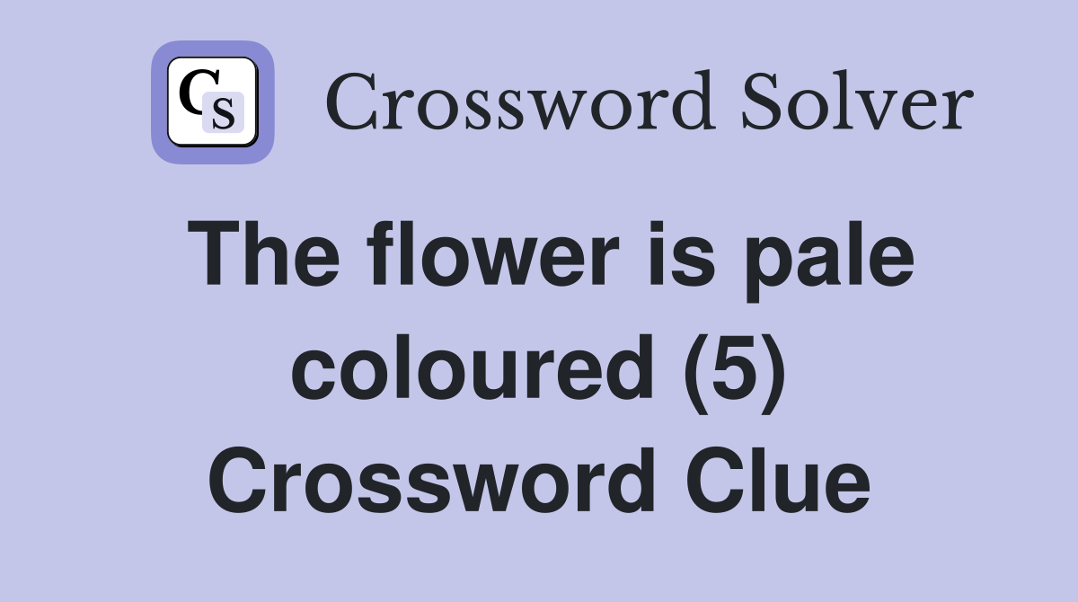 The flower is pale coloured (5) Crossword Clue