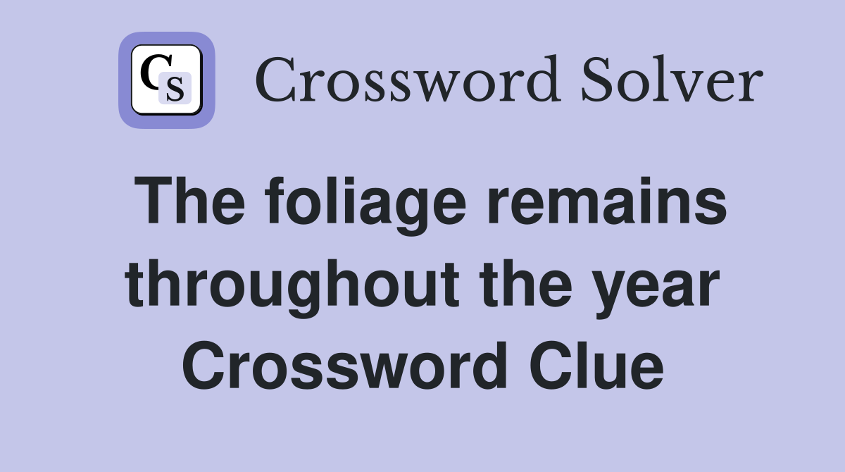 The foliage remains throughout the year Crossword Clue