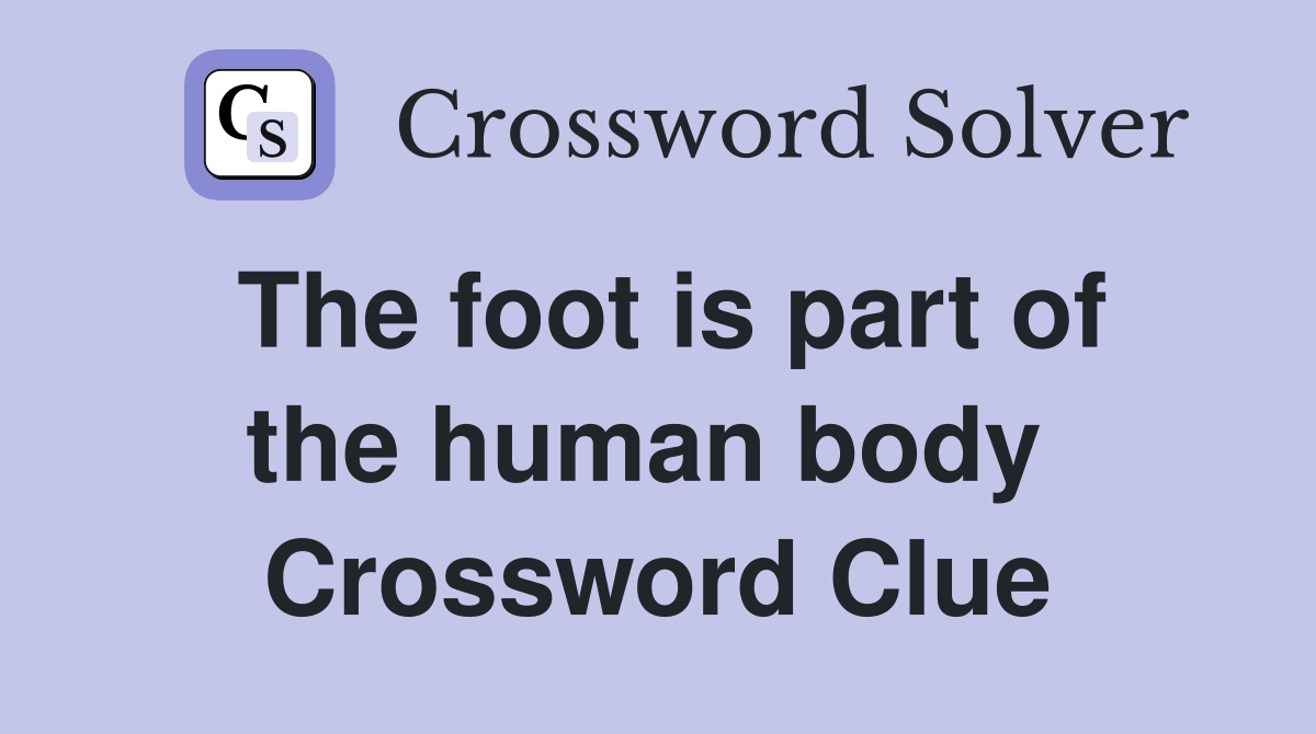 The foot is part of the human body  Crossword Clue