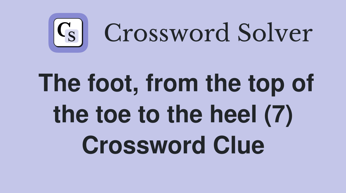 The foot, from the top of the toe to the heel (7) Crossword Clue