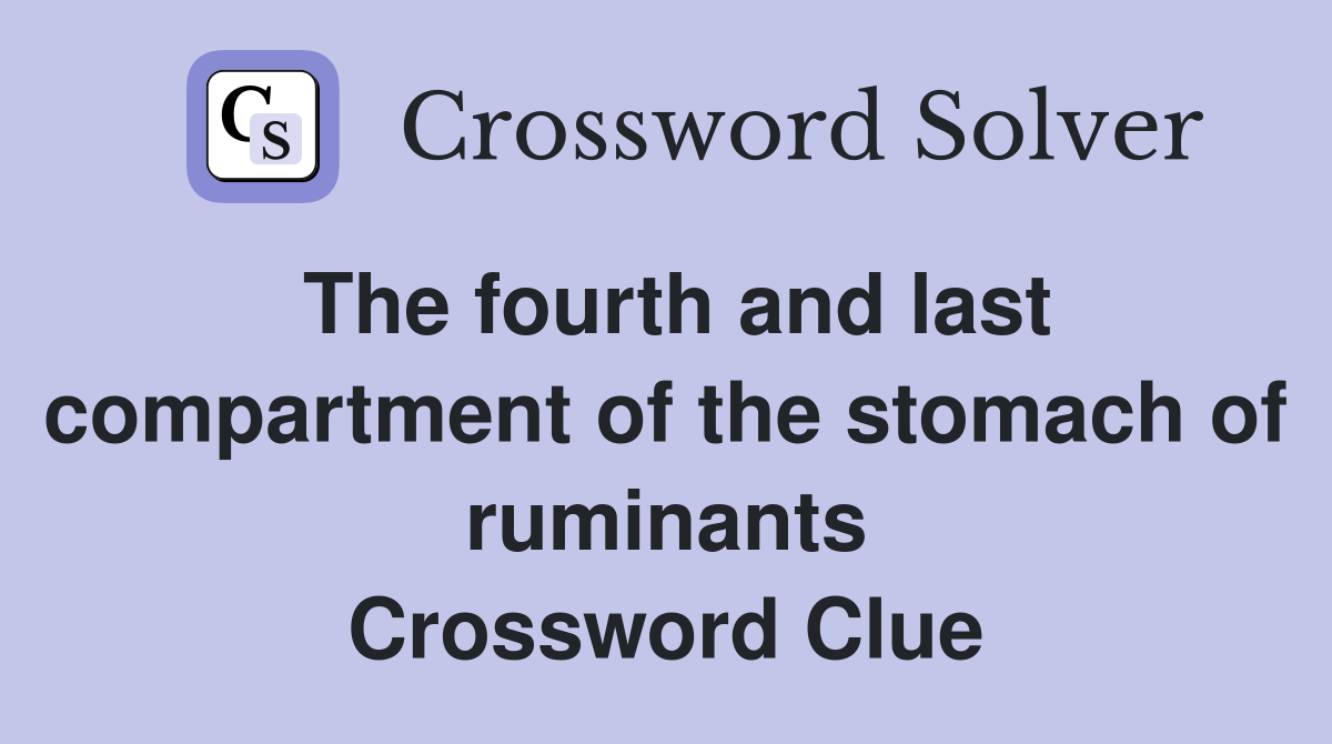 The fourth and last compartment of the stomach of ruminants Crossword Clue