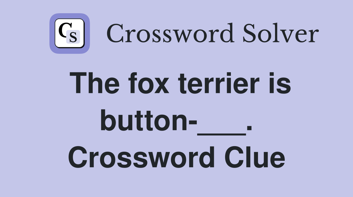The fox terrier is button-___. Crossword Clue