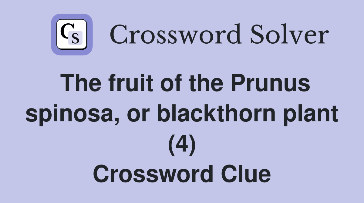 The fruit of the Prunus spinosa, or blackthorn plant (4) Crossword Clue