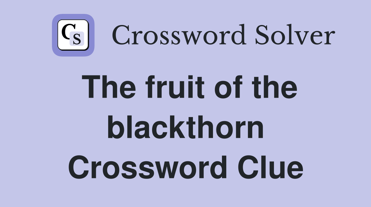 The fruit of the blackthorn Crossword Clue