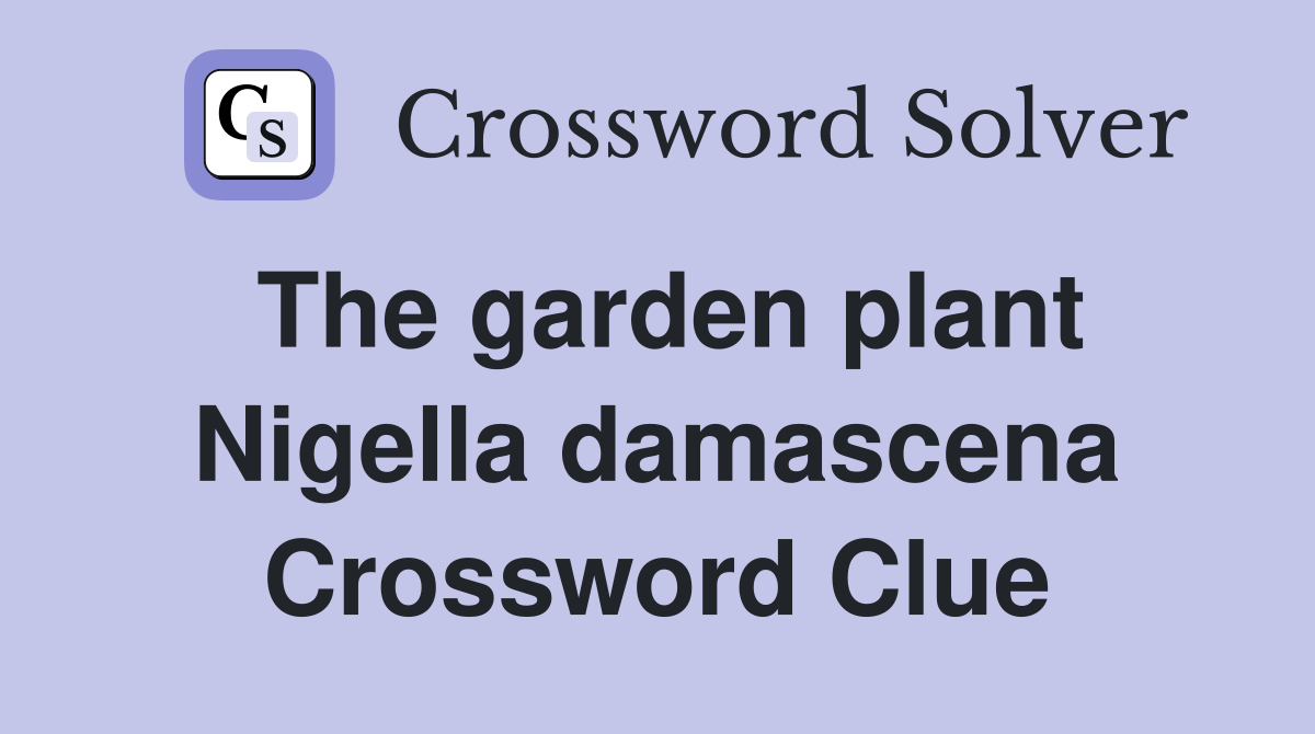 The garden plant Nigella damascena Crossword Clue