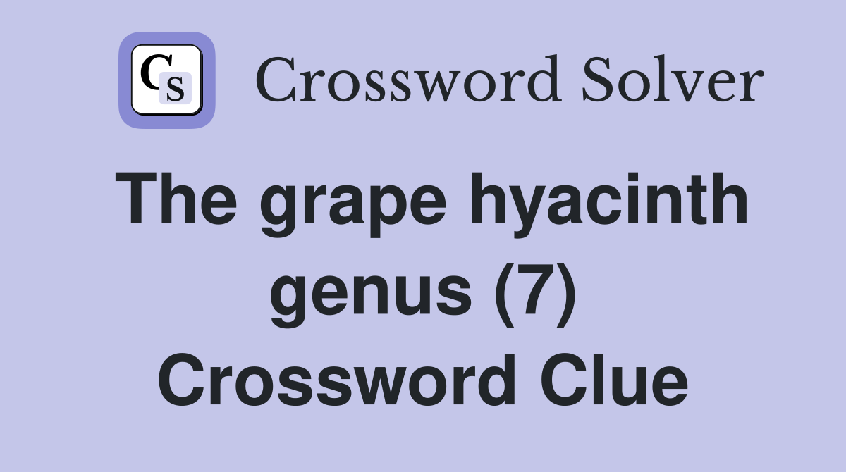 The grape hyacinth genus (7) Crossword Clue