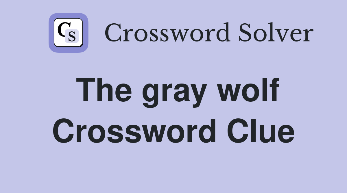 The gray wolf Crossword Clue