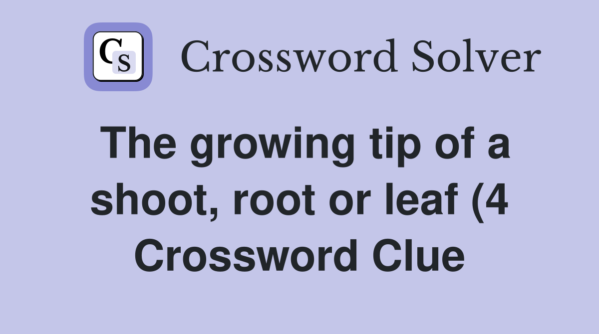 The growing tip of a shoot root or leaf (4) Crossword Clue Answers The growing tip of a shoot root or leaf (4) Crossword Clue Answers