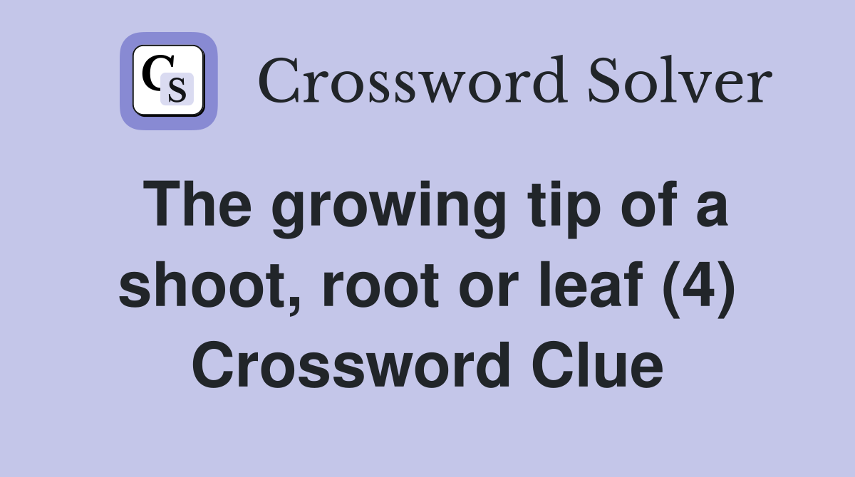The growing tip of a shoot root or leaf (4) Crossword Clue Answers