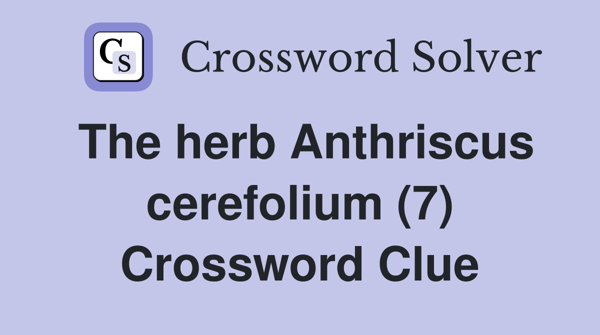 The herb Anthriscus cerefolium (7) Crossword Clue