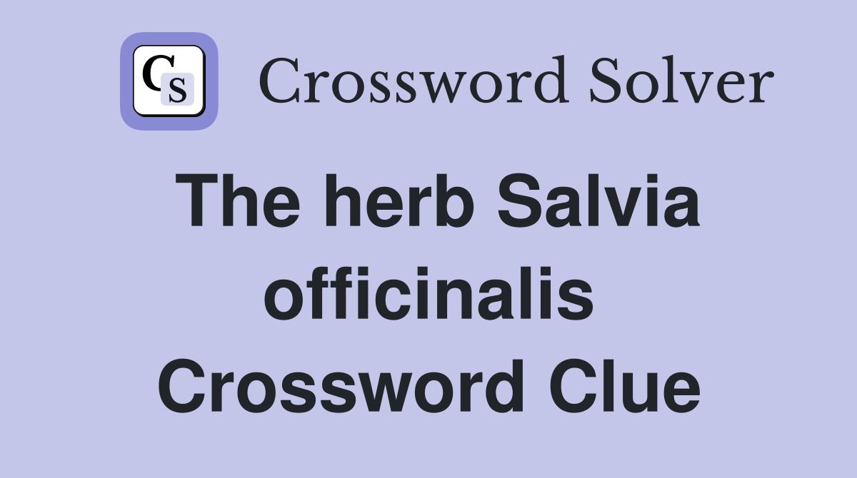 The herb Salvia officinalis Crossword Clue