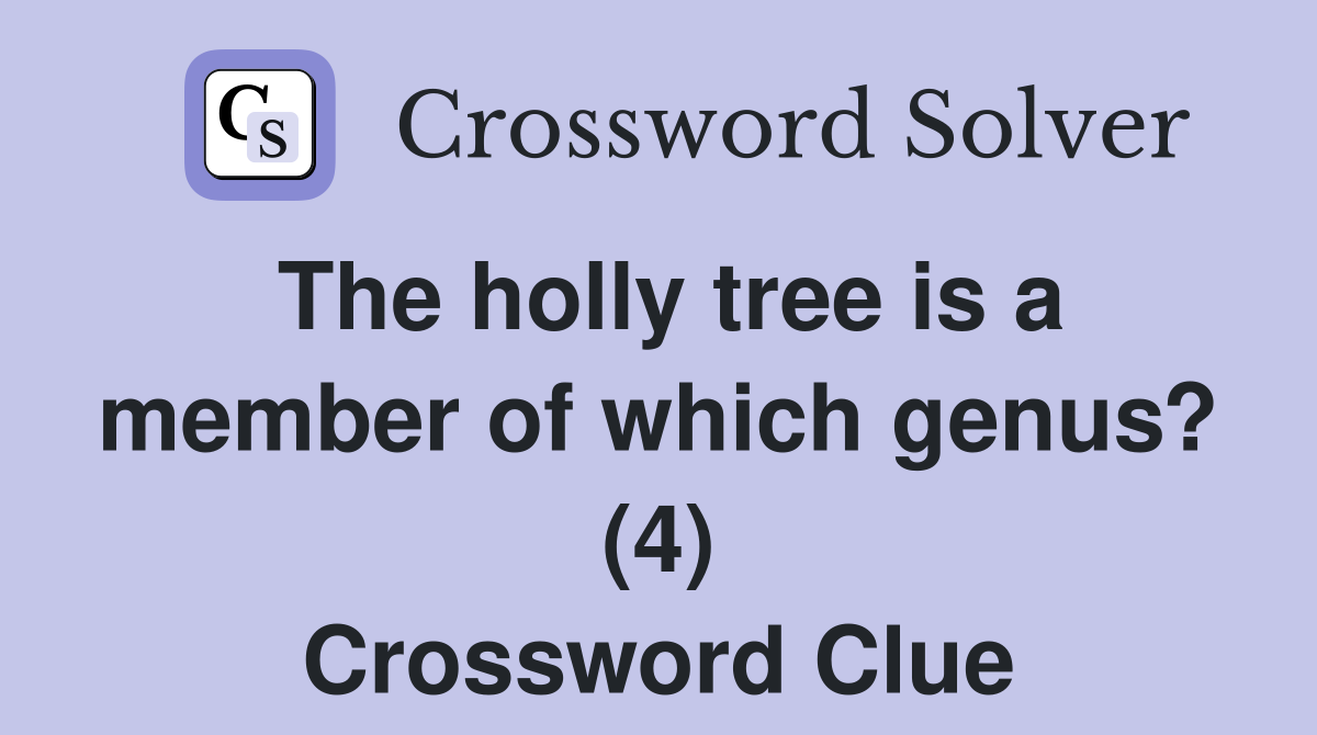 The holly tree is a member of which genus? (4) Crossword Clue