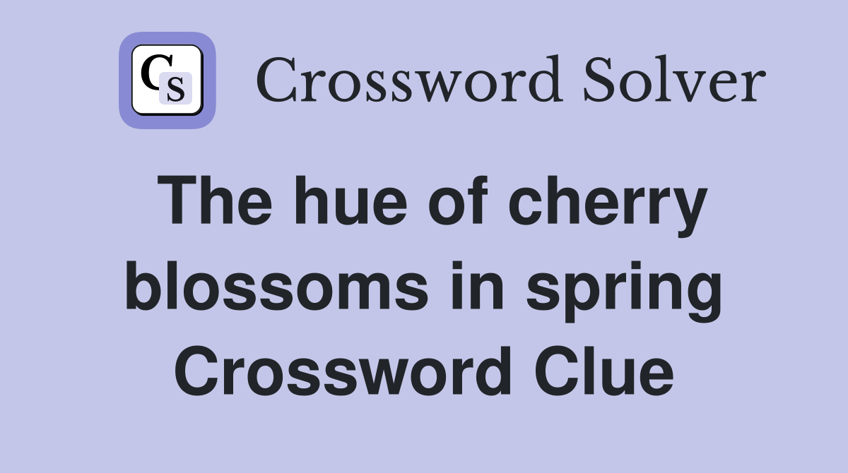 The hue of cherry blossoms in spring Crossword Clue