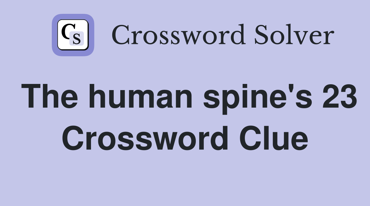 The human spine's 23 Crossword Clue