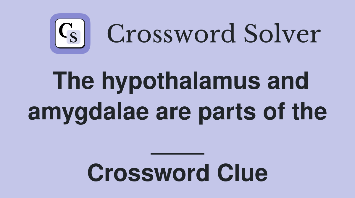 The hypothalamus and amygdalae are parts of the ____ Crossword Clue
