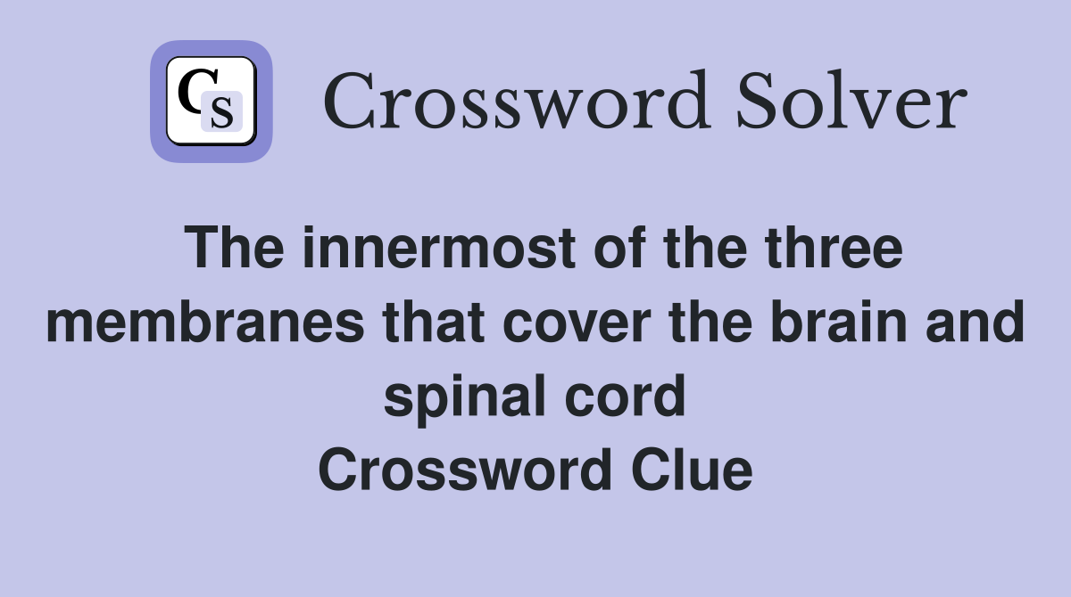 The innermost of the three membranes that cover the brain and spinal cord Crossword Clue