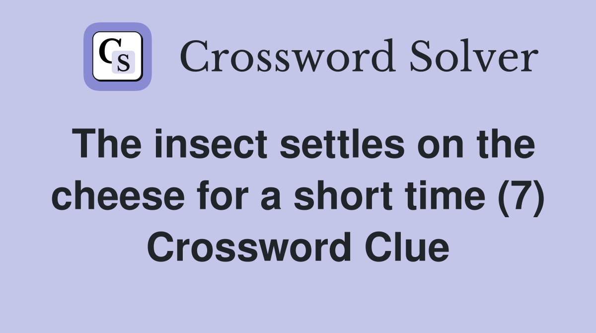 The insect settles on the cheese for a short time (7) Crossword Clue