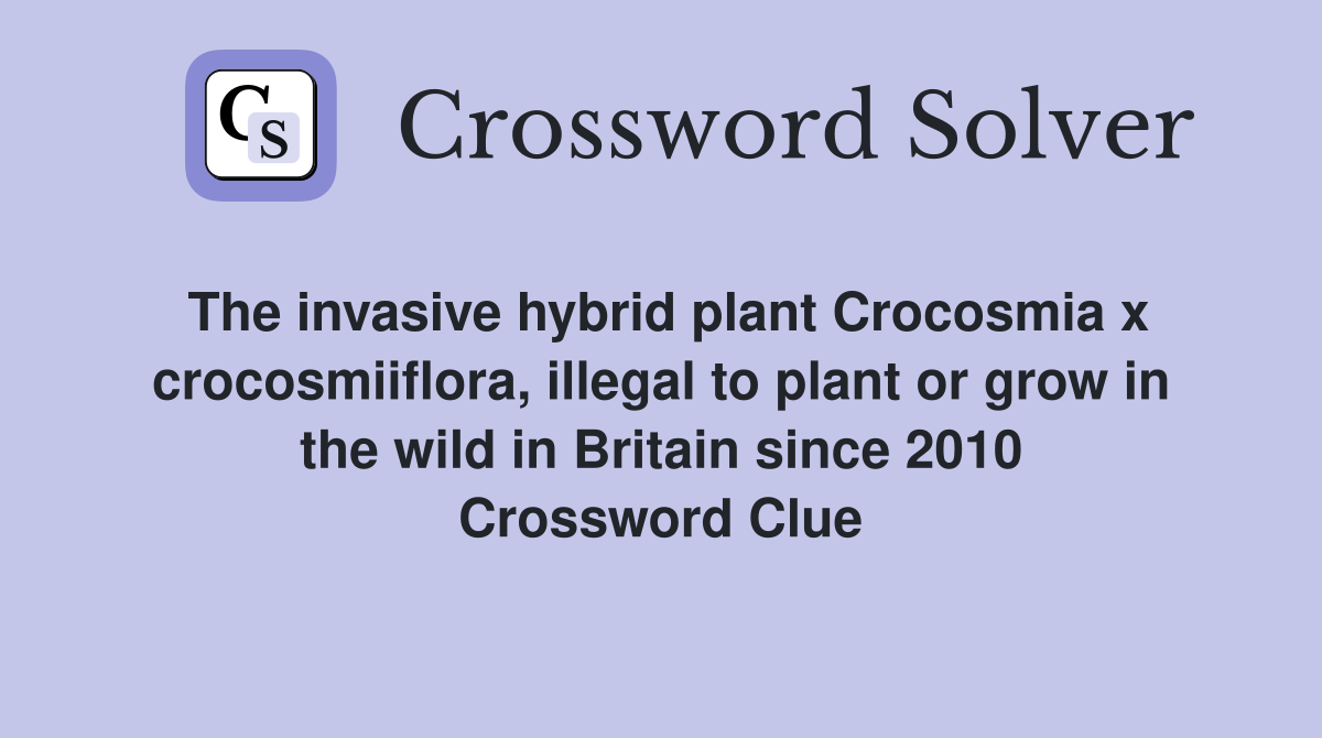 The invasive hybrid plant Crocosmia x crocosmiiflora, illegal to plant or grow in the wild in Britain since 2010 Crossword Clue