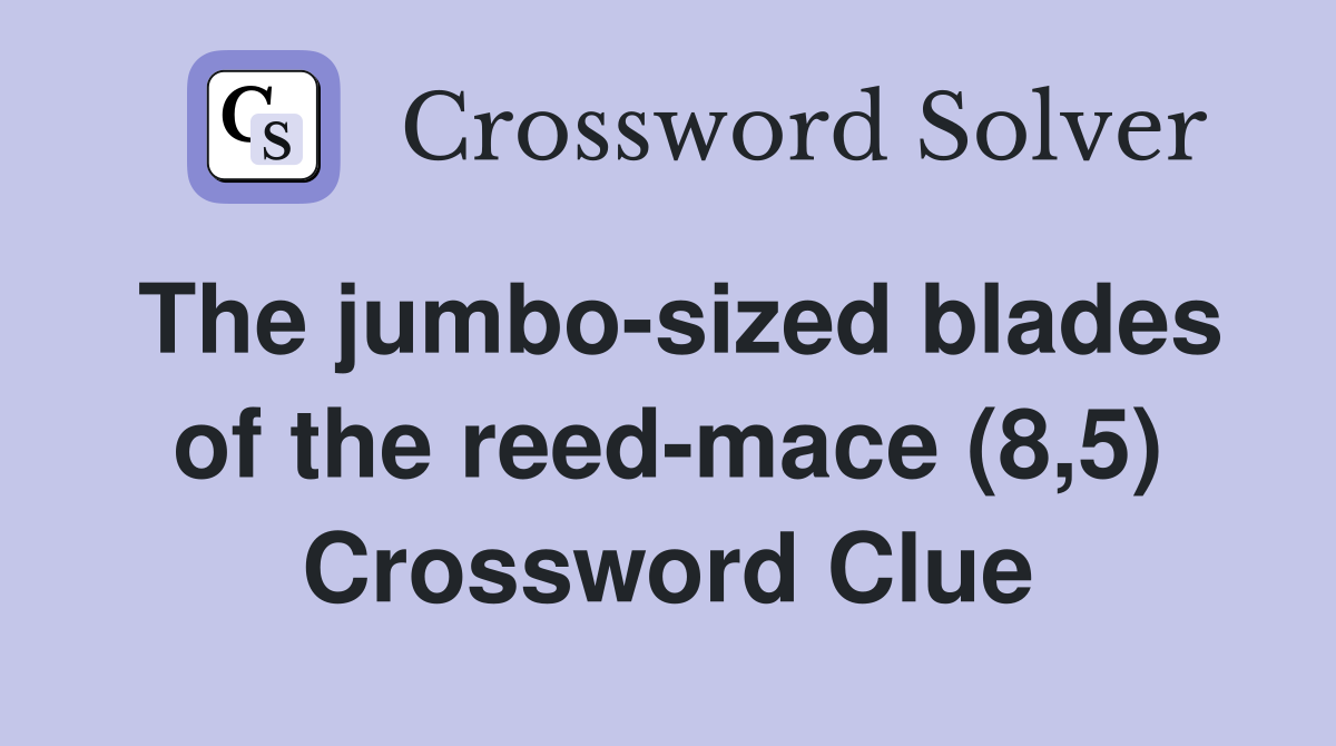 The jumbo-sized blades of the reed-mace (8,5) Crossword Clue