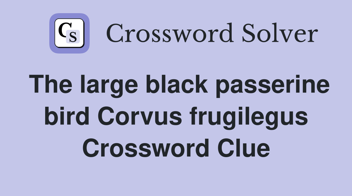The large black passerine bird Corvus frugilegus Crossword Clue