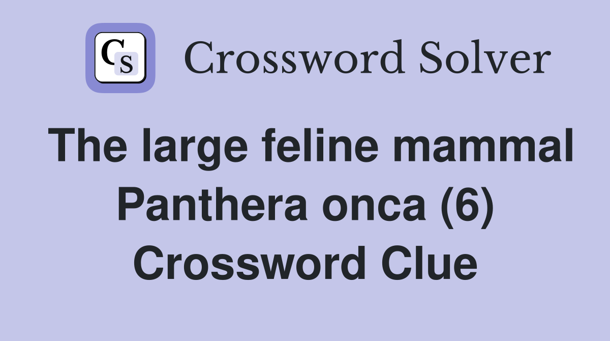 The large feline mammal Panthera onca (6) Crossword Clue