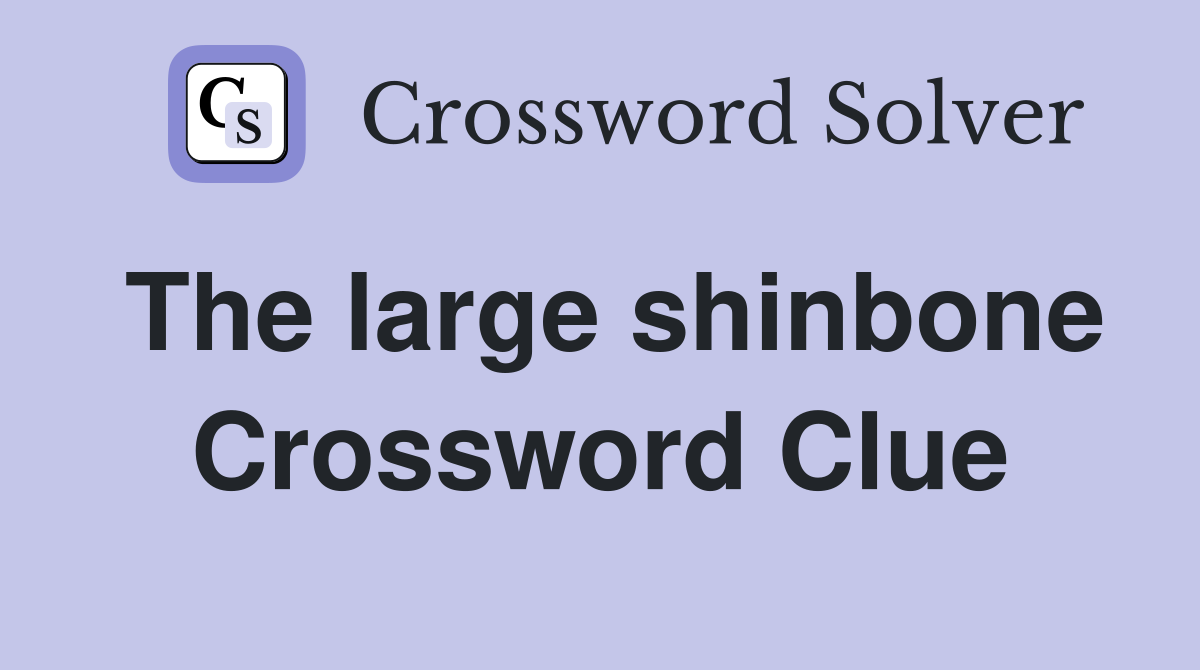 The large shinbone Crossword Clue