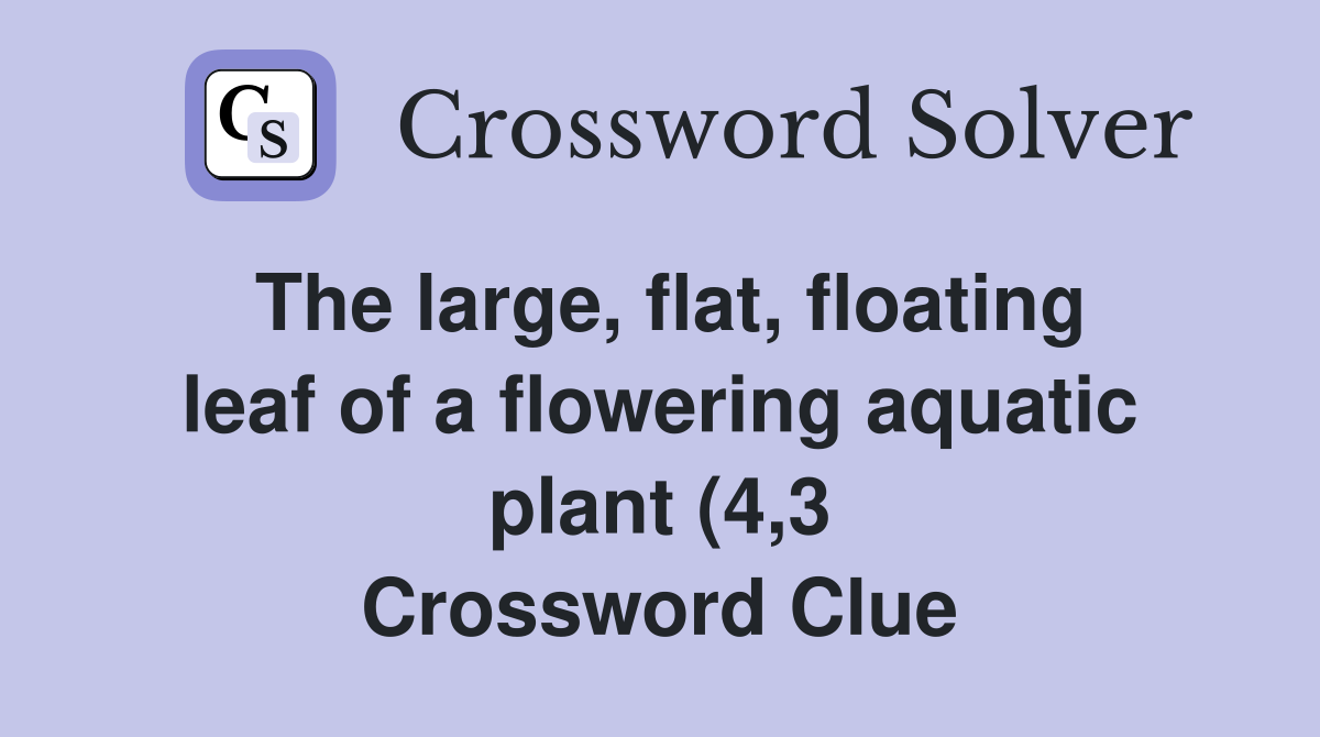 The large flat floating leaf of a flowering aquatic plant (4 3 The large flat floating leaf of a flowering aquatic plant (4 3