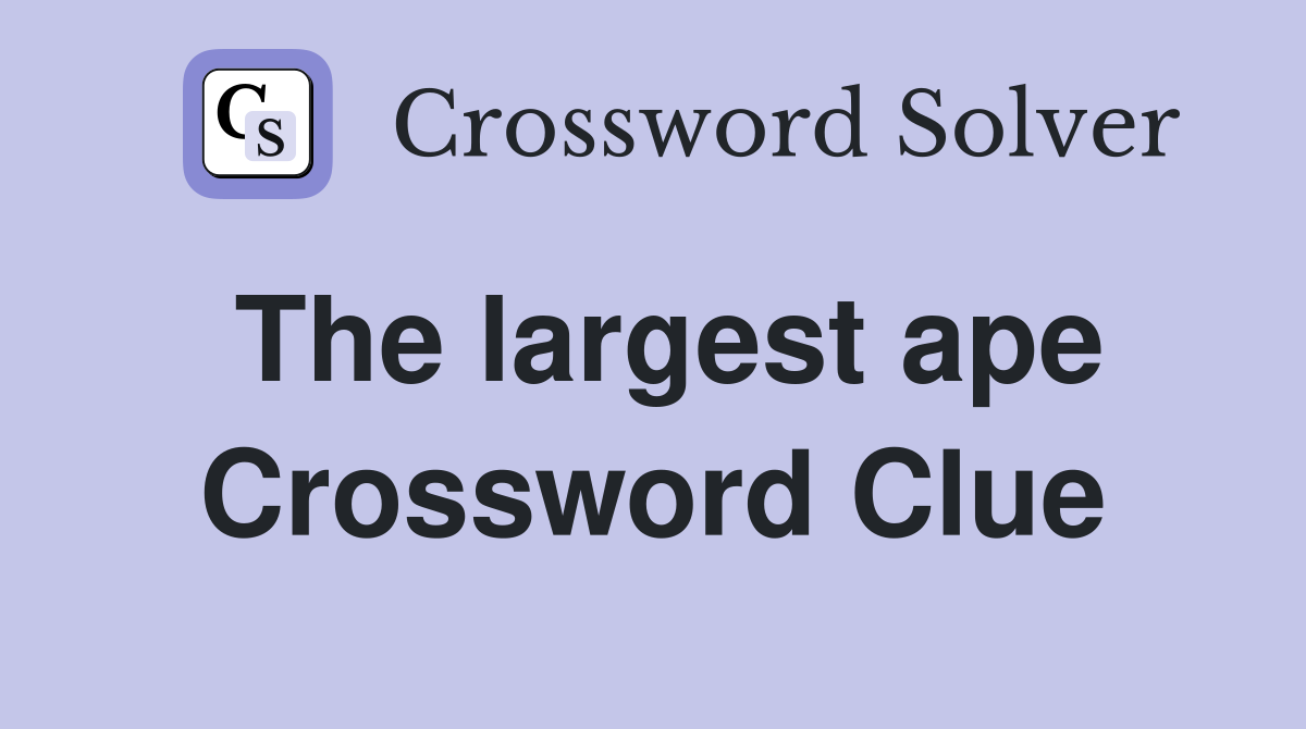 The largest ape Crossword Clue