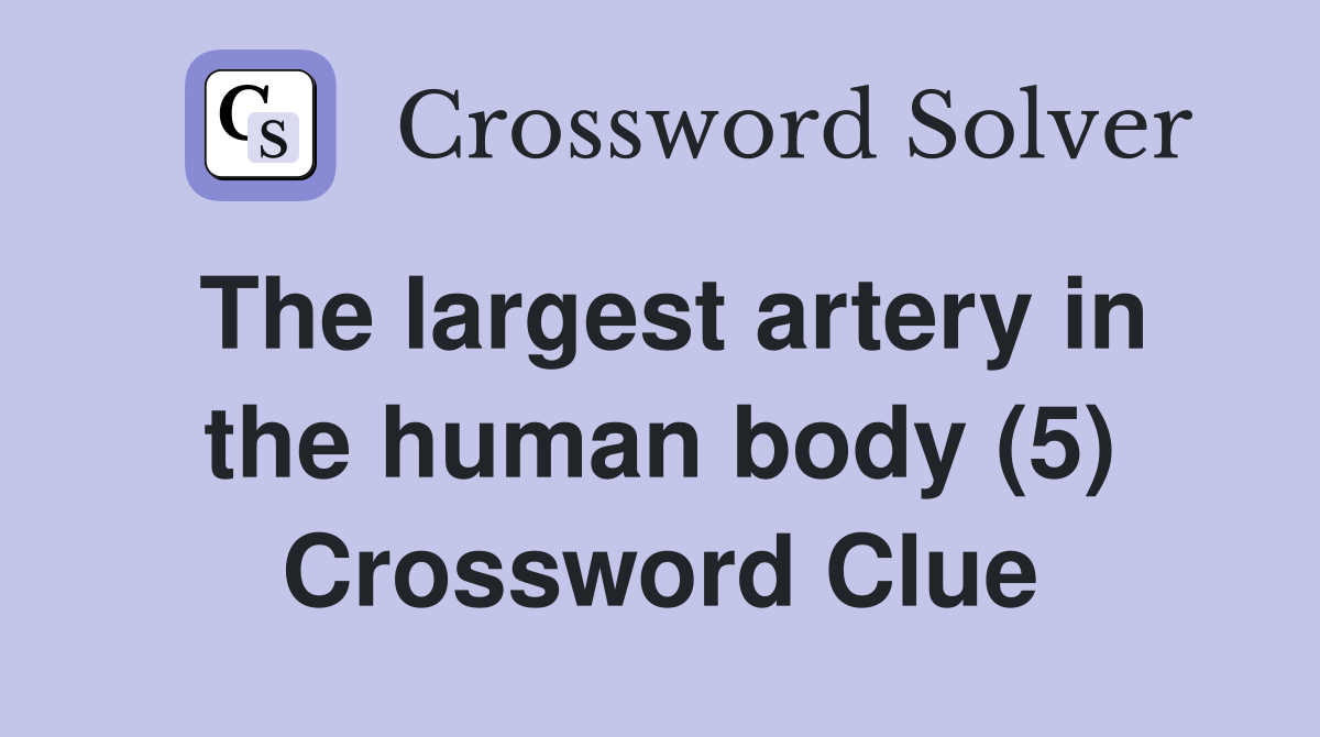 The largest artery in the human body (5) Crossword Clue