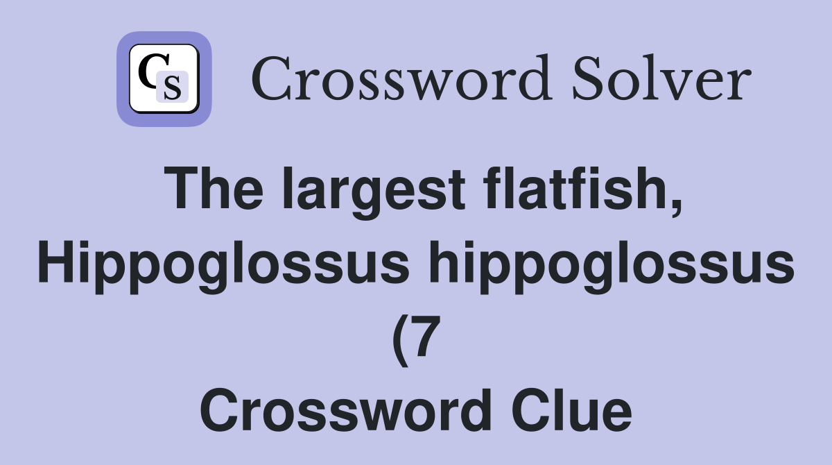 The largest flatfish Hippoglossus hippoglossus (7) Crossword Clue The largest flatfish Hippoglossus hippoglossus (7) Crossword Clue