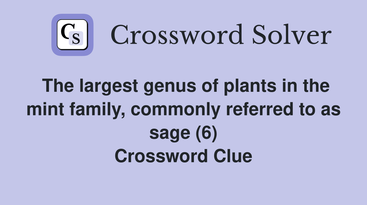 The largest genus of plants in the mint family, commonly referred to as sage (6) Crossword Clue