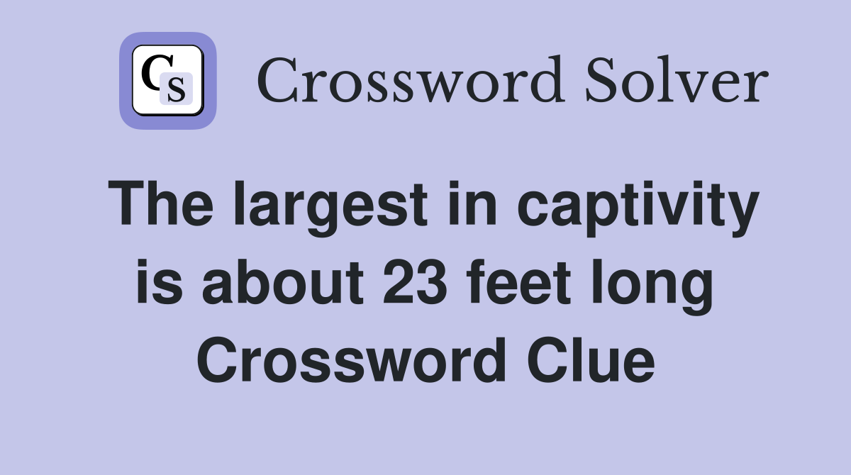 The largest in captivity is about 23 feet long Crossword Clue