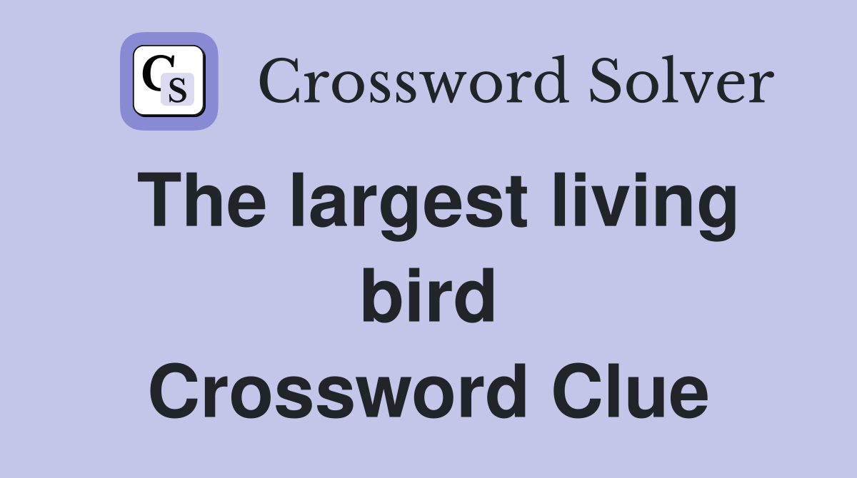 The largest living bird Crossword Clue
