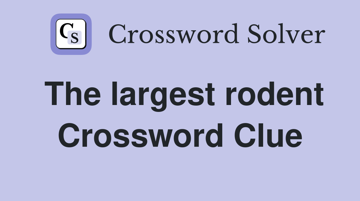 The largest rodent Crossword Clue