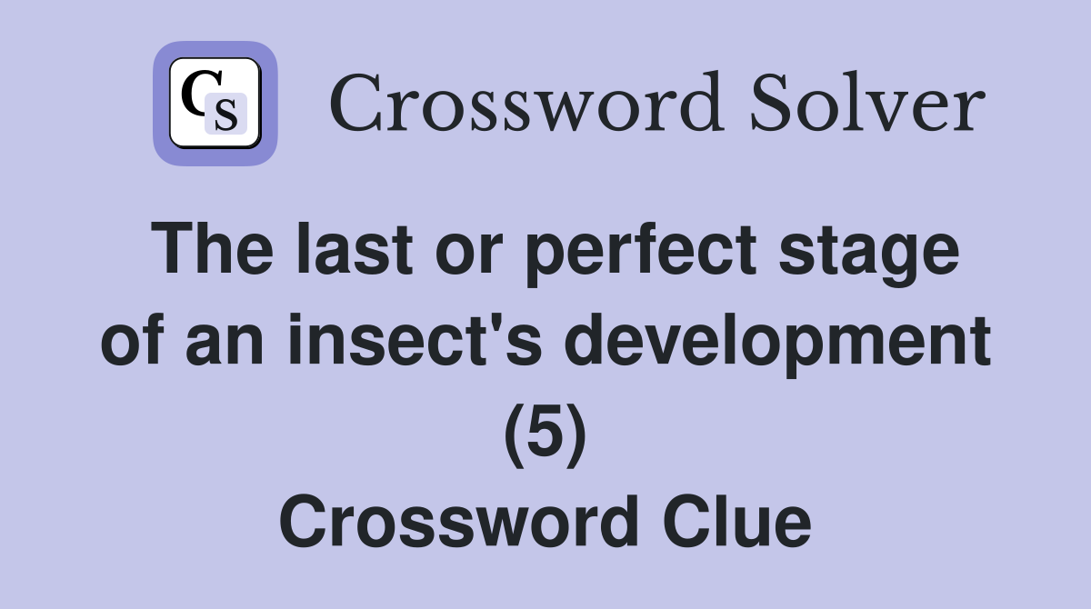 The last or perfect stage of an insect's development (5) Crossword Clue