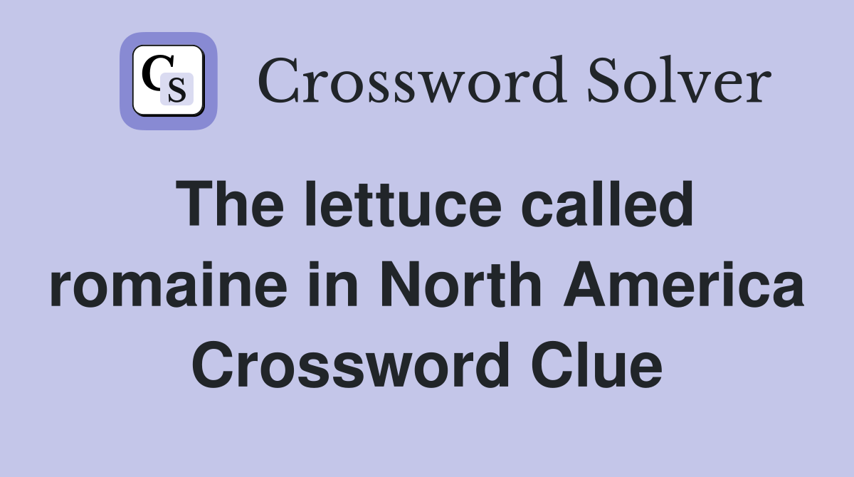 The lettuce called romaine in North America Crossword Clue