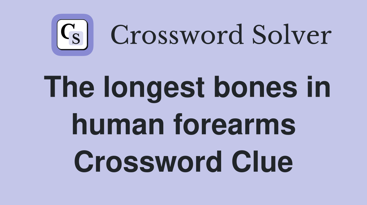 The longest bones in human forearms Crossword Clue