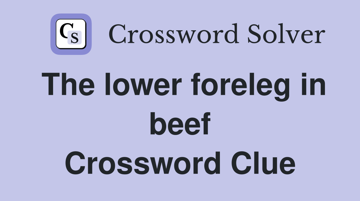 The lower foreleg in beef Crossword Clue