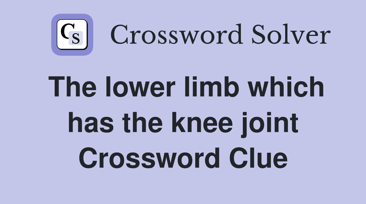 The lower limb which has the knee joint Crossword Clue