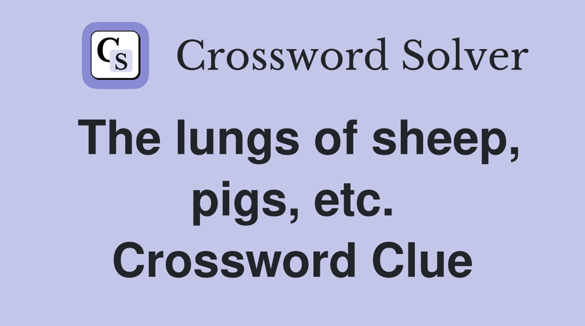 The lungs of sheep, pigs, etc. Crossword Clue