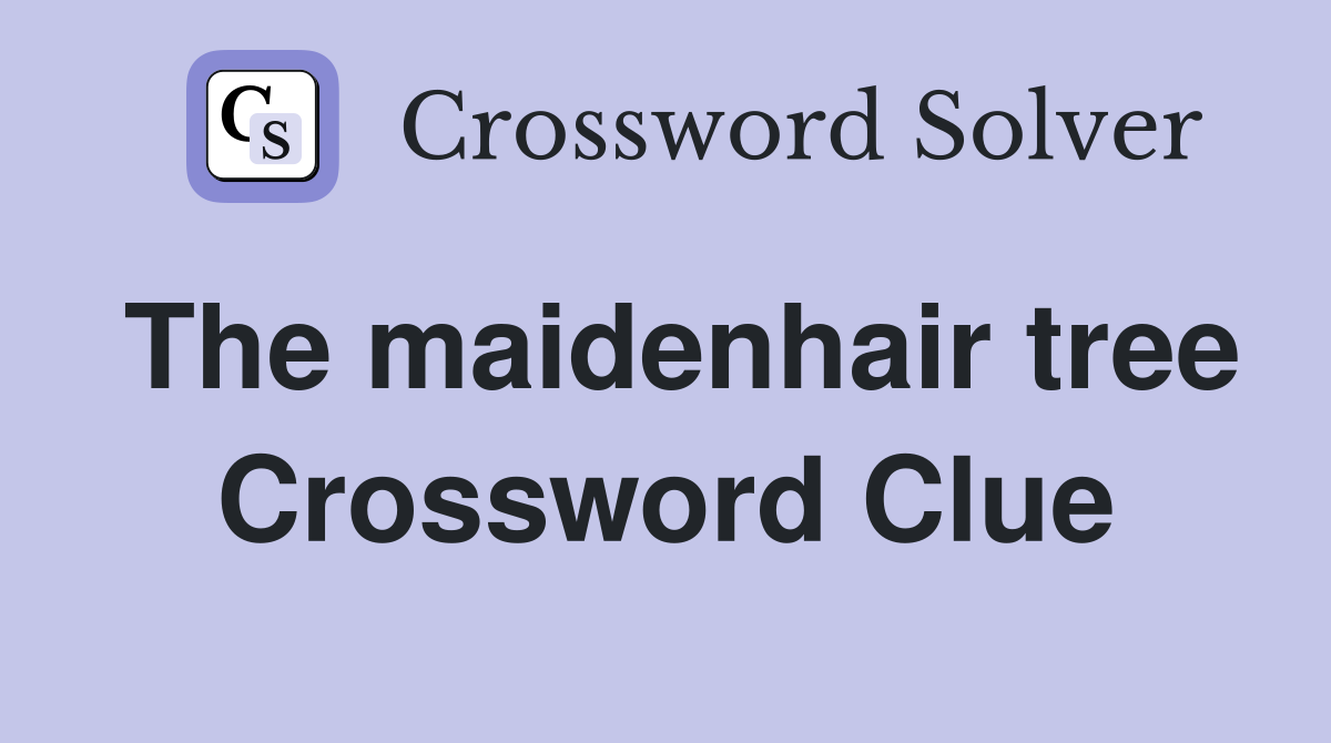 The maidenhair tree Crossword Clue