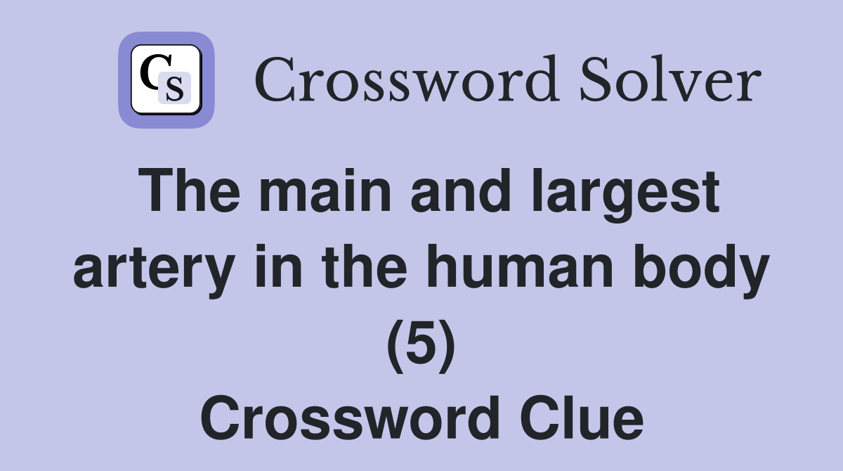 The main and largest artery in the human body (5) Crossword Clue