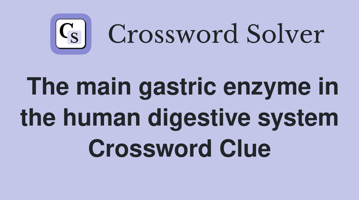 The main gastric enzyme in the human digestive system Crossword Clue
